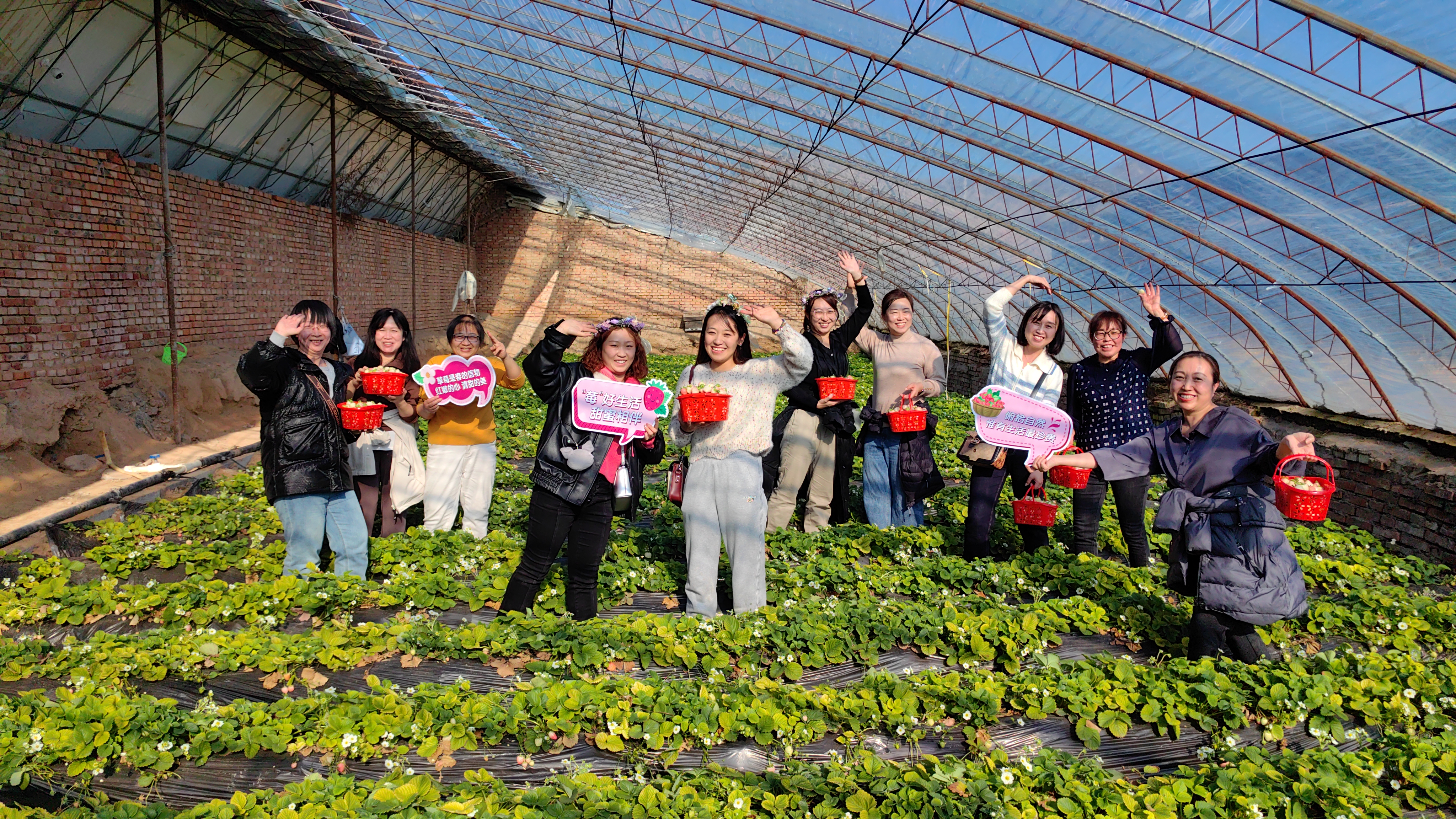 下花園女職工采摘風(fēng)采.jpg